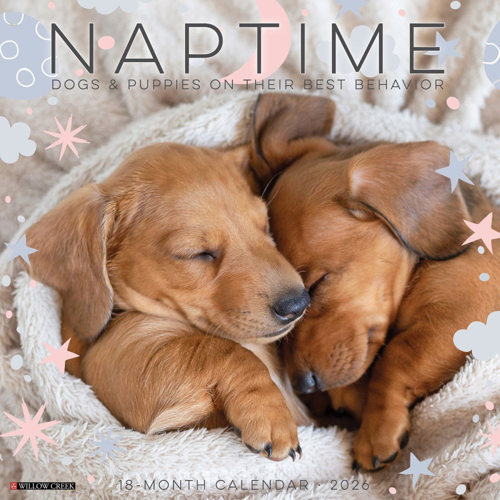 2026 Willow Creek Press Animals Monthly Wall Calendar, 12in x 12in, Naptime: Dogs & Puppies on their Best Behavior, January To December, 52099
