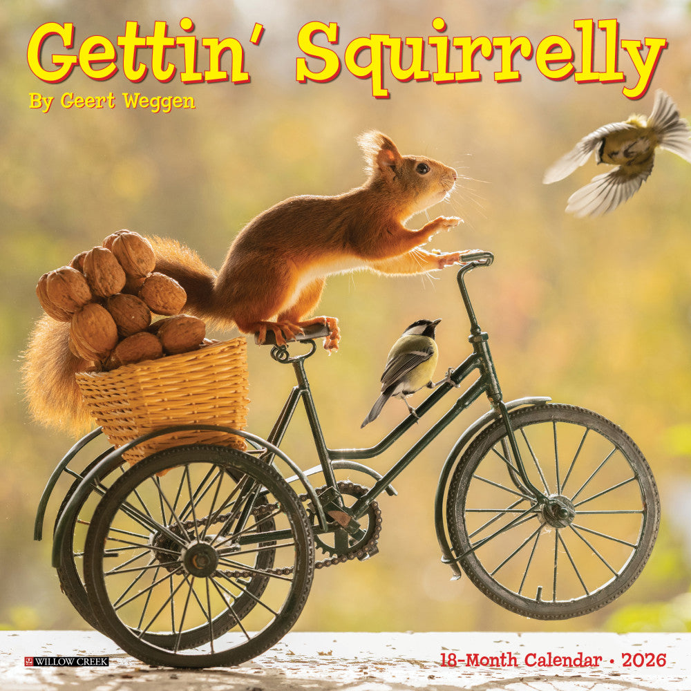 2026 Willow Creek Press Monthly Mini Wall Calendar, 7in x 7in, Gettin Squirrelly, January To December, 53591