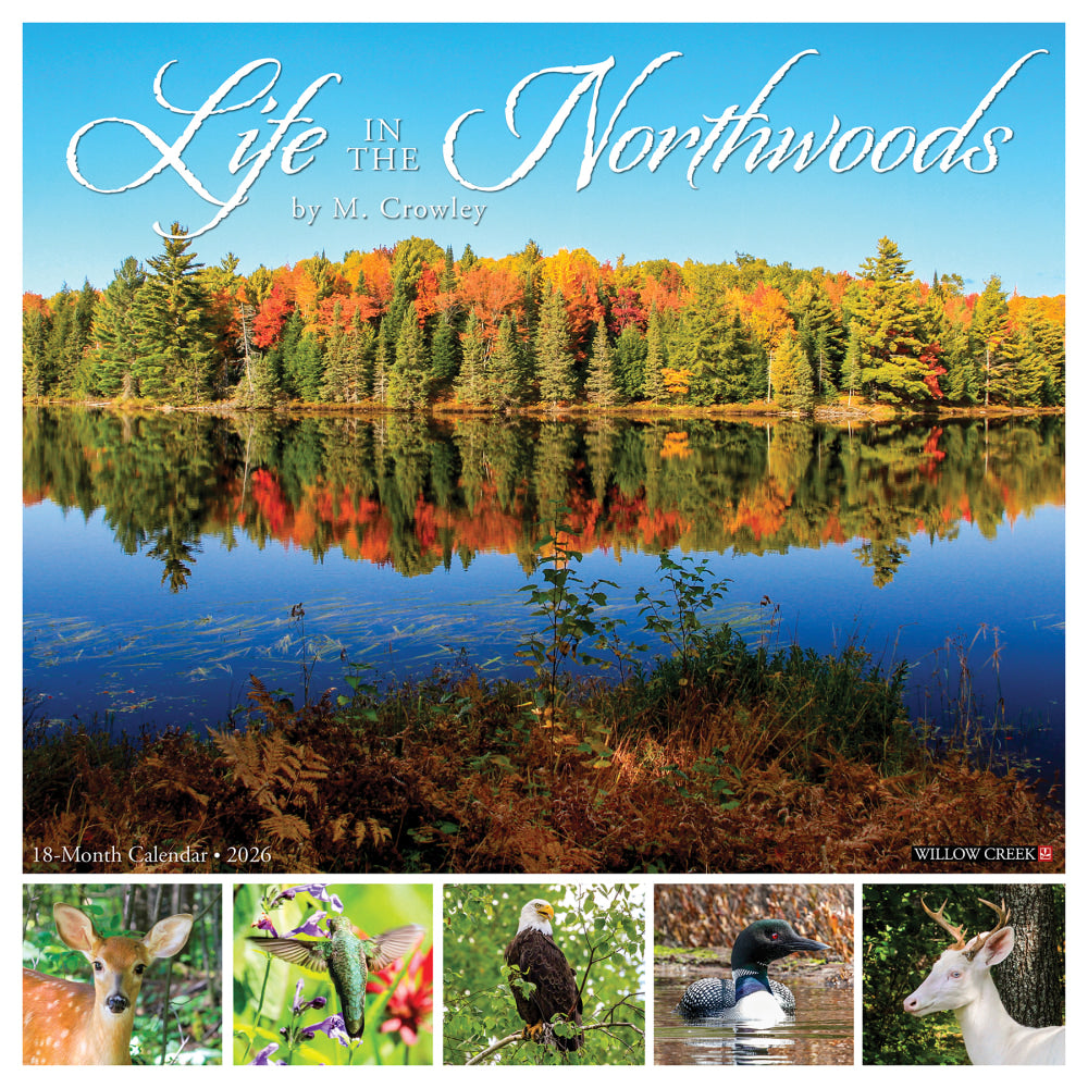 2026 Willow Creek Press Scenic Monthly Wall Calendar, 12in x 12in, Life in the Northwoods, January To December, 55472