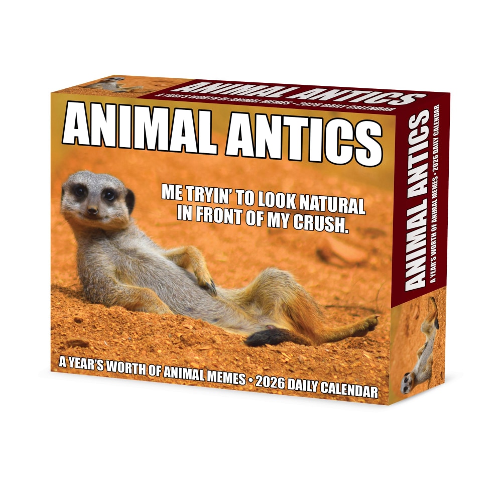 2026 Willow Creek Press Page-A-Day Daily Desk Calendar, 6-1/4in x 5-1/2in, Animal Antics, January To December, 55137