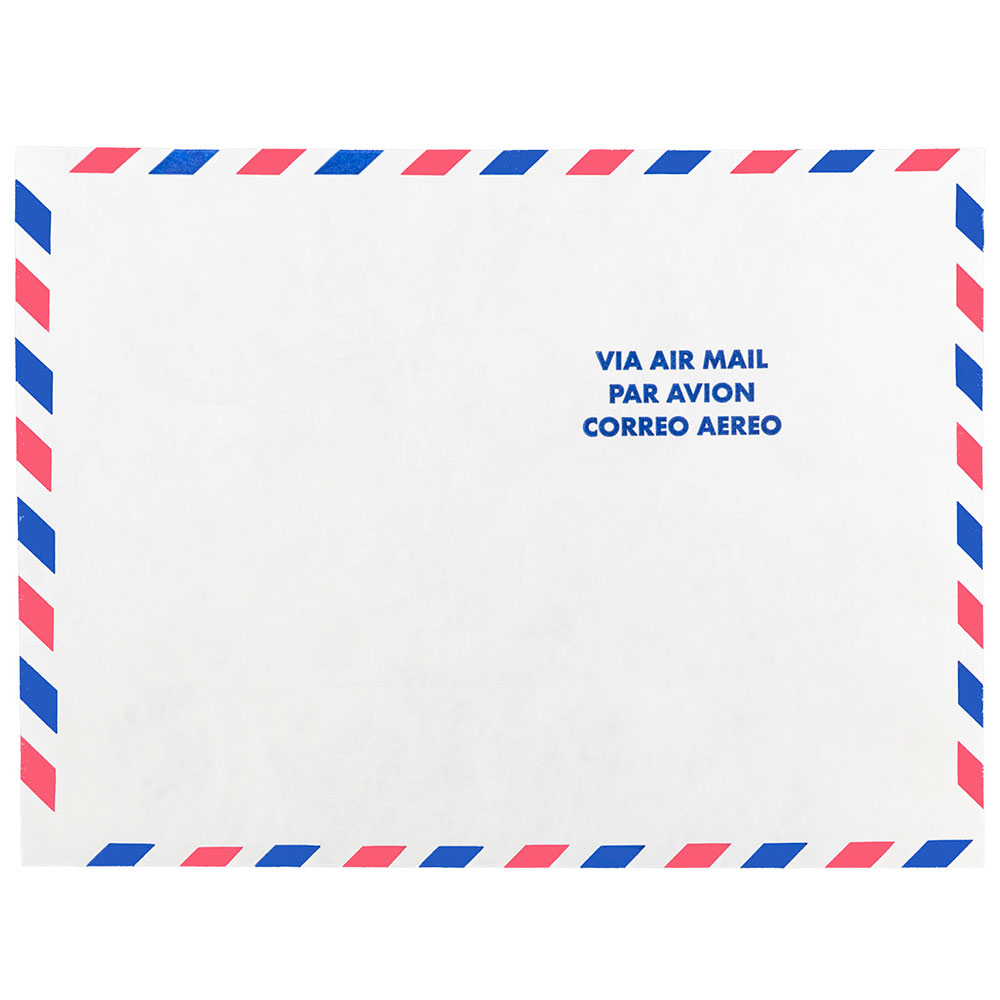 JAM Paper Open-End Tyvek Airmail Envelopes, 9in x 12in, Self Adhesive, White, Pack Of 25