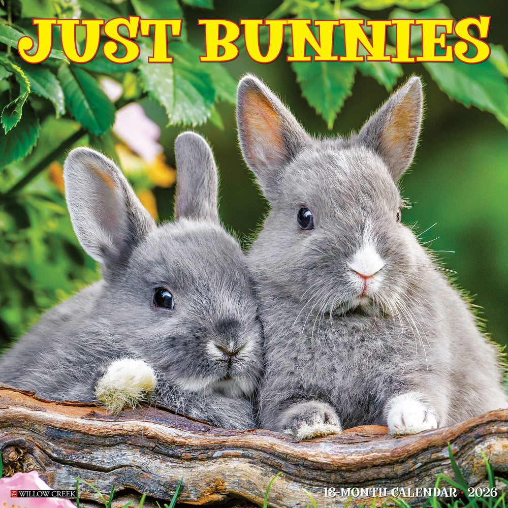 2026 Willow Creek Press Animals Monthly Wall Calendar, 12in x 12in, Bunnies, January To December, 50446