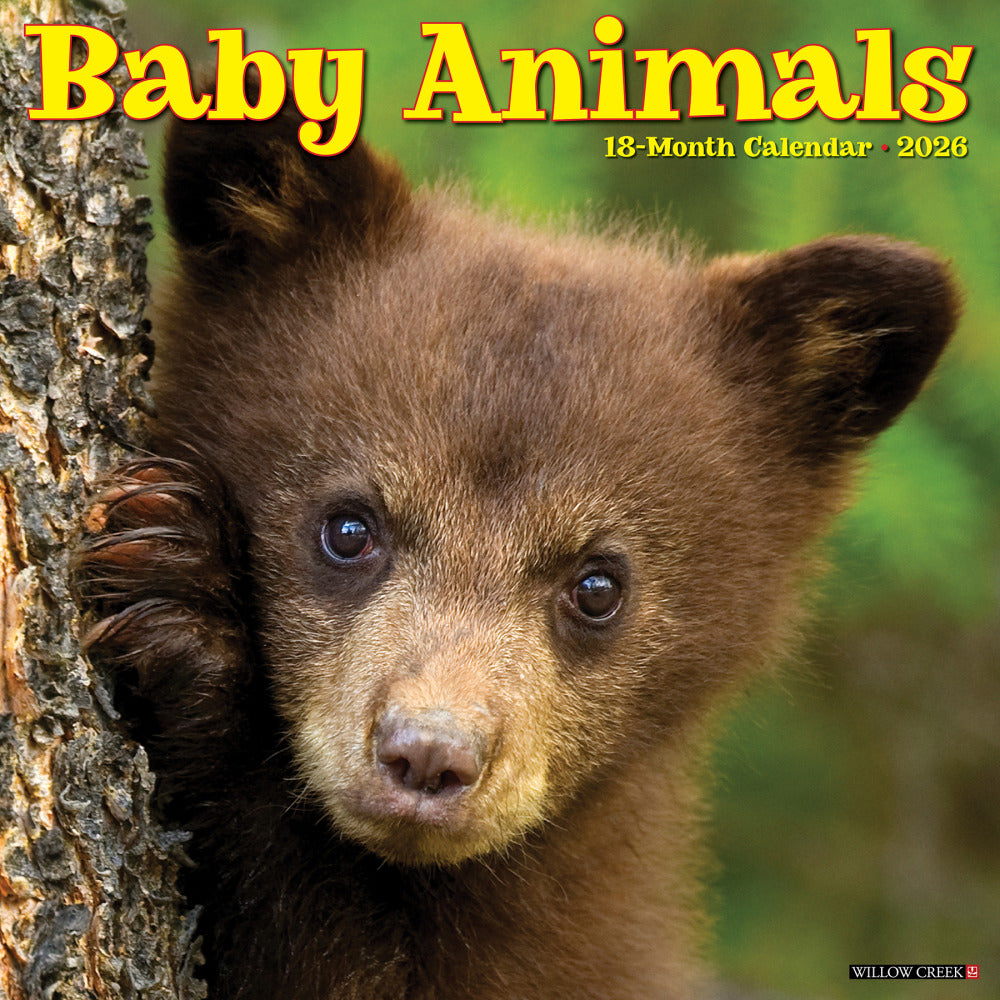 2026 Willow Creek Press Animals Monthly Wall Calendar, 12in x 12in, Baby Animals, January To December, 50002