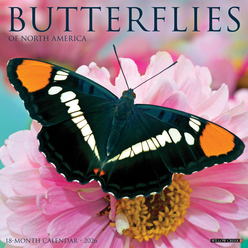 2026 Willow Creek Press Animals Monthly Wall Calendar, 12in x 12in, Butterflies, January To December, 50453
