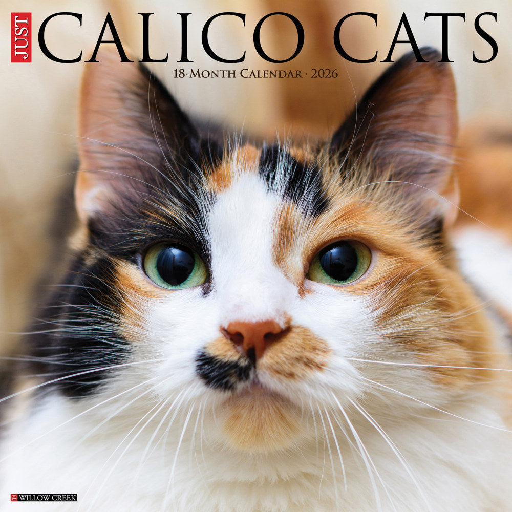 2026 Willow Creek Press Animals Monthly Wall Calendar, 12in x 12in, Calico Cats, January To December, 50484