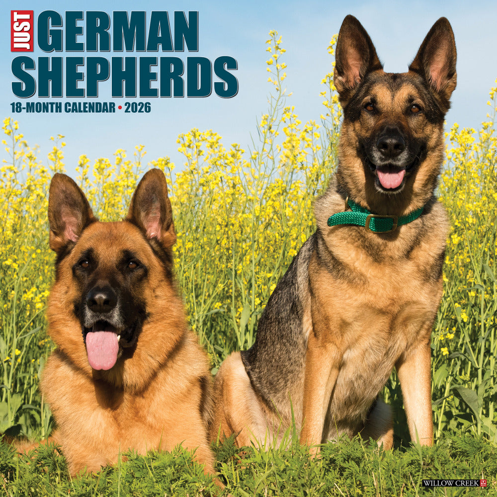 2026 Willow Creek Press Animals Monthly Wall Calendar, 12in x 12in, German Shepherds, January To December, 51238