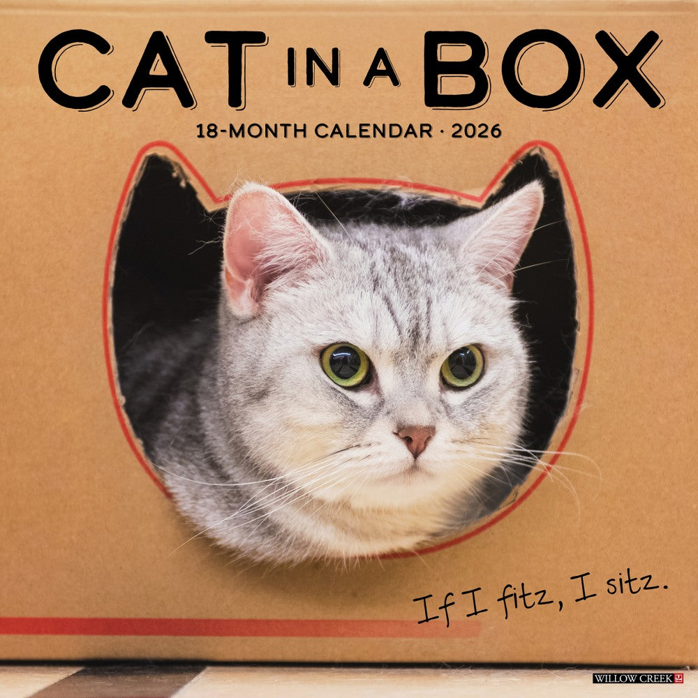 2026 Willow Creek Press Art & Design Monthly Wall Calendar, 12in x 12in, Cat in a Box, January To December, 50576