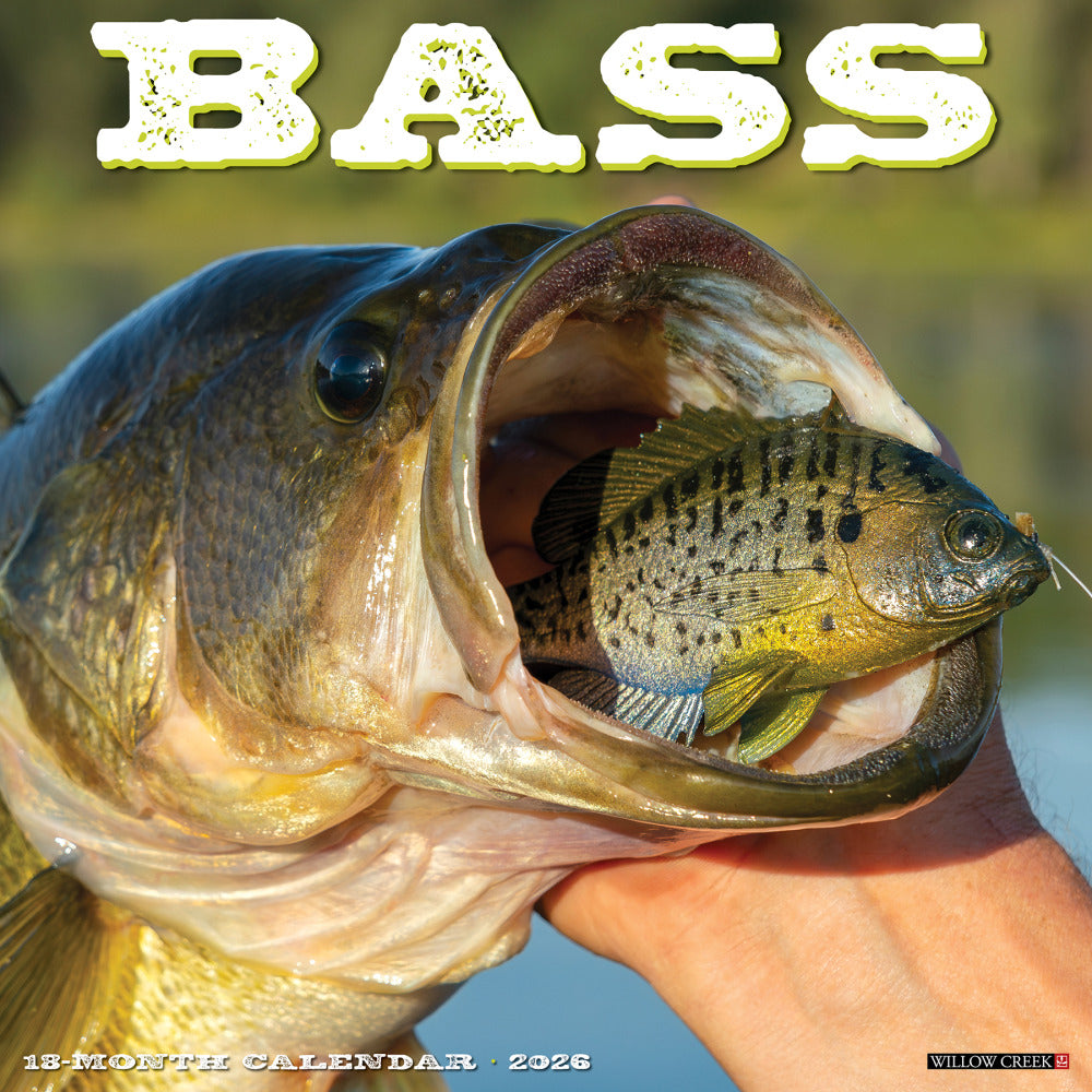 2026 Willow Creek Press Animals Monthly Wall Calendar, 12in x 12in, Bass, January To December, 50064