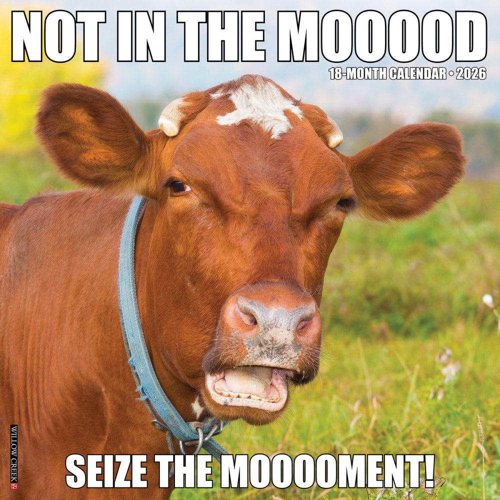 2026 Willow Creek Press Humor & Comics Monthly Wall Calendar, 12in x 12in, Not in the Mooood, January To December, 52211