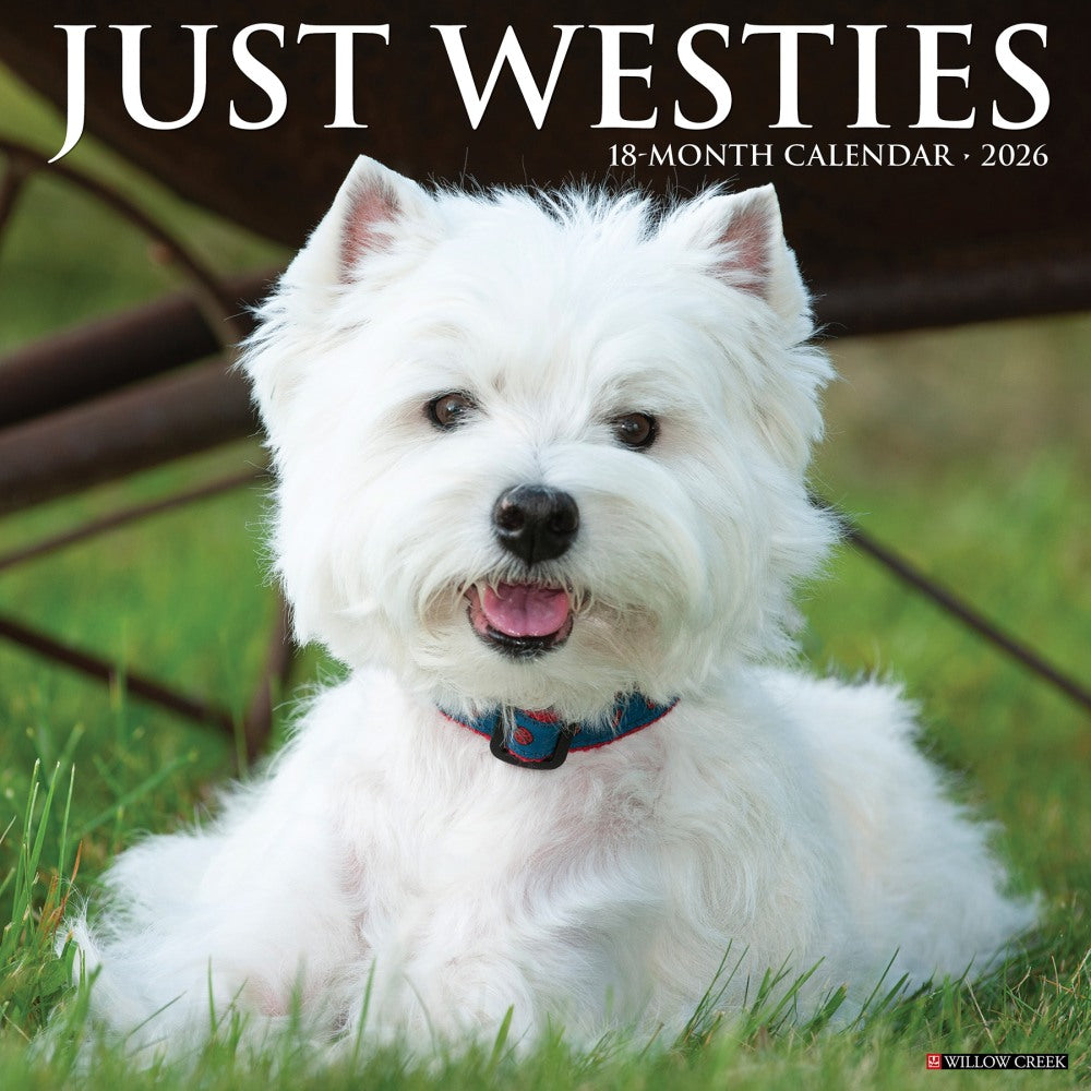 2026 Willow Creek Press Animals Monthly Wall Calendar, 12in x 12in, Westies, January To December, 53133