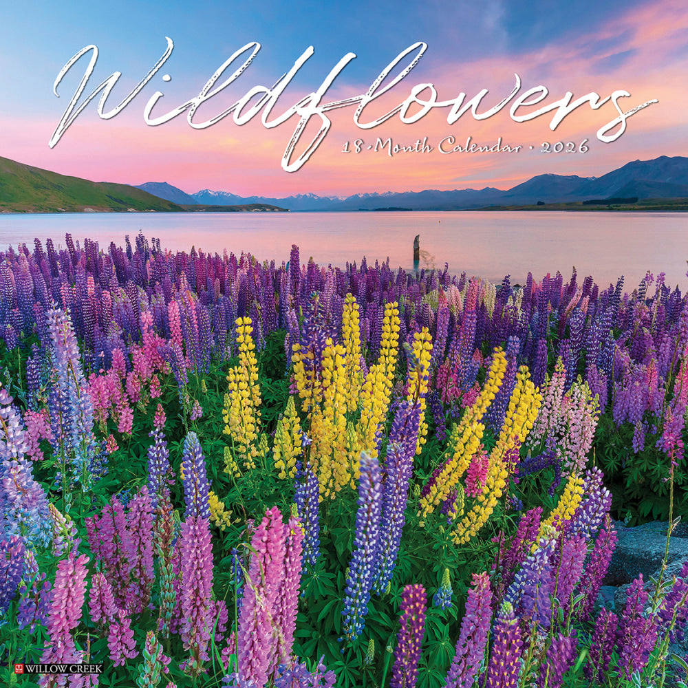 2026 Willow Creek Press Scenic Monthly Wall Calendar, 12in x 12in, Wildflowers, January To December, 53294