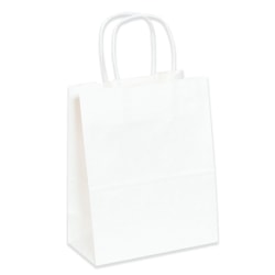 Partners Brand Paper Shopping Bags, 5 1/4inW x 3 1/4inD x 13inH, White, Case Of 250