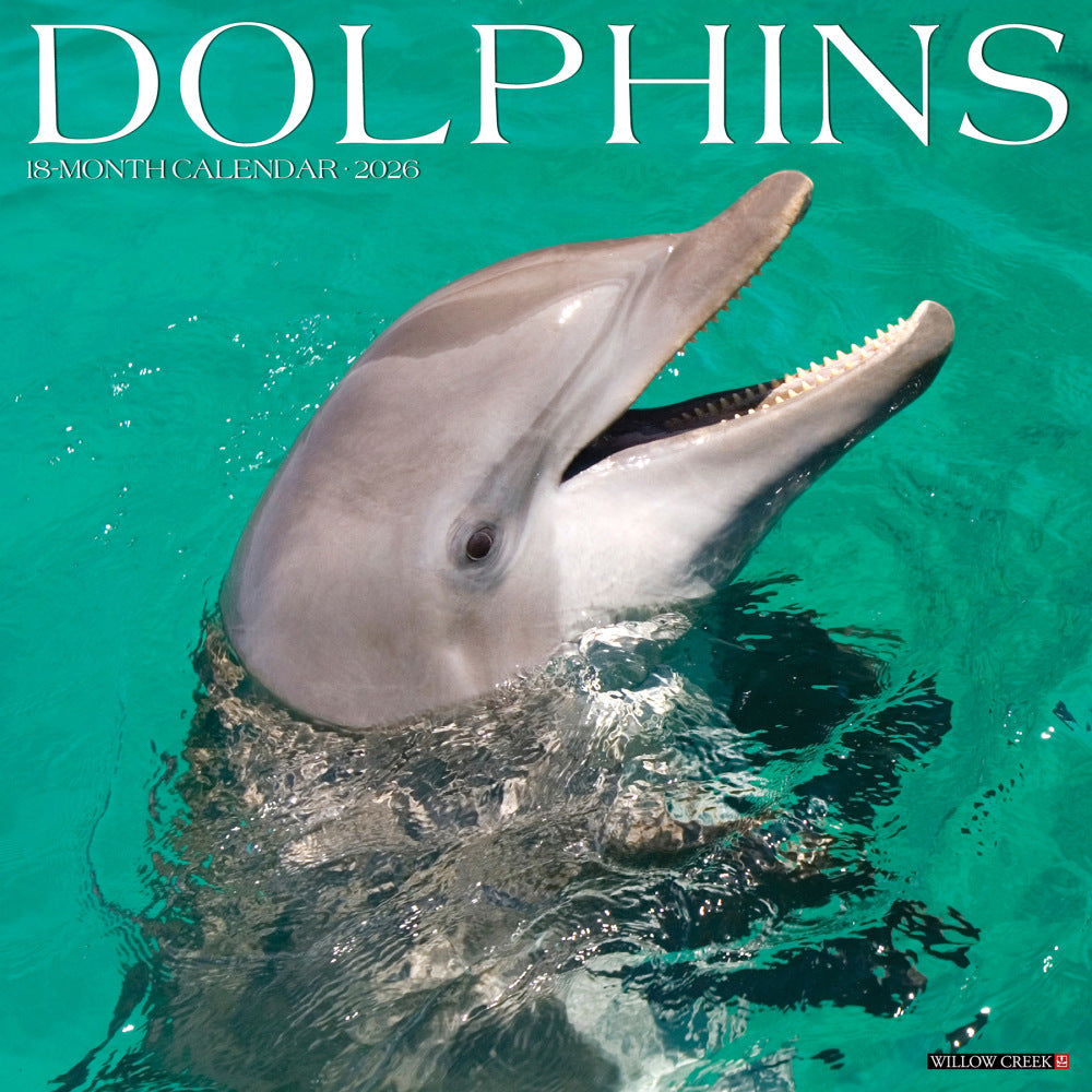 2026 Willow Creek Press Animals Monthly Wall Calendar, 12in x 12in, Dolphins, January To December, 55403