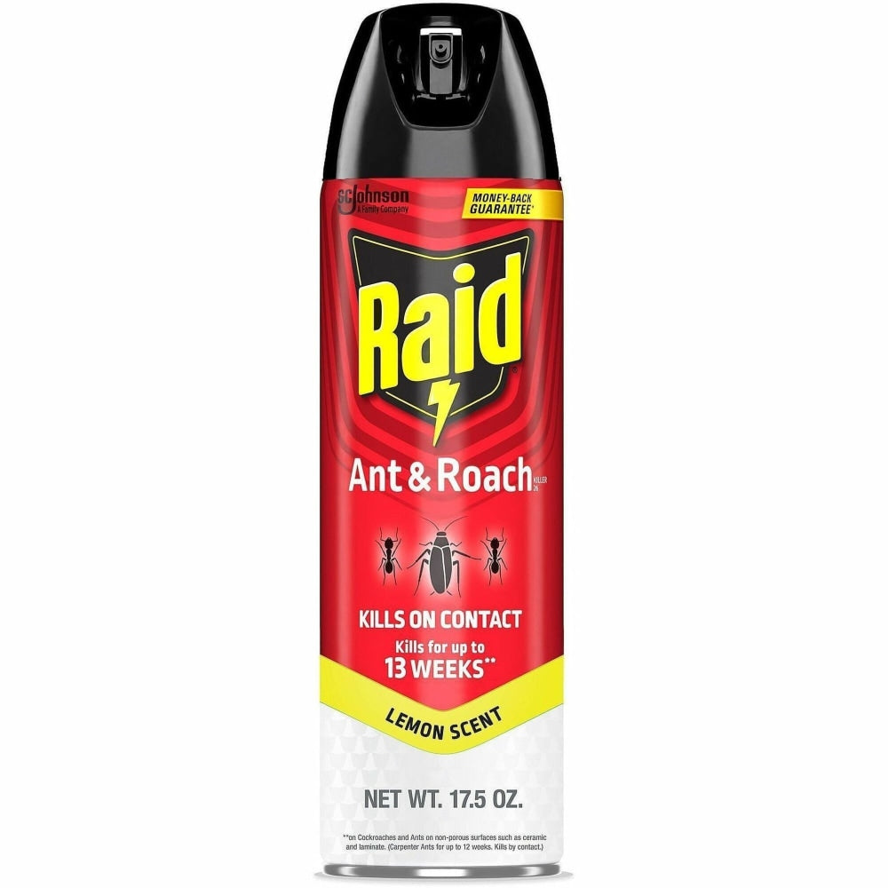 Raid Ant & Roach Killer Spray - 368214