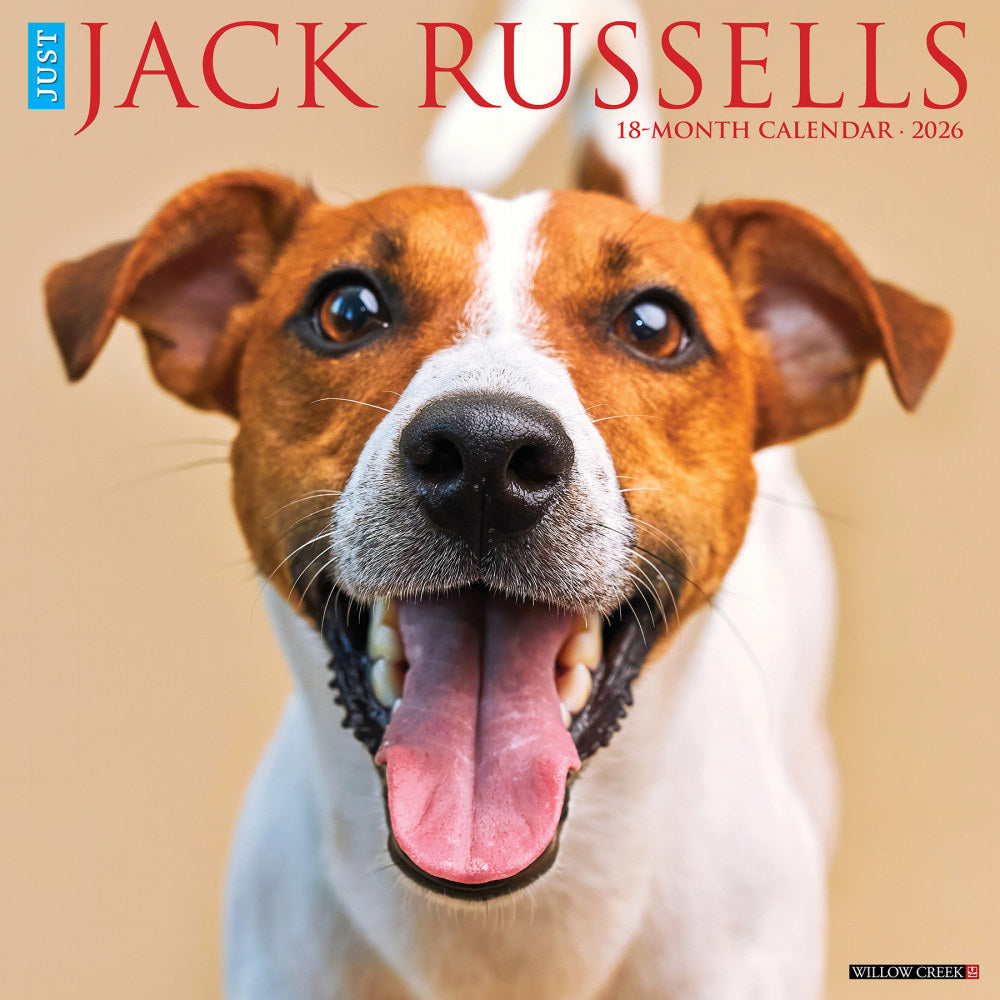 2026 Willow Creek Press Animals Monthly Wall Calendar, 12in x 12in, Jack Russells, January To December, 51627