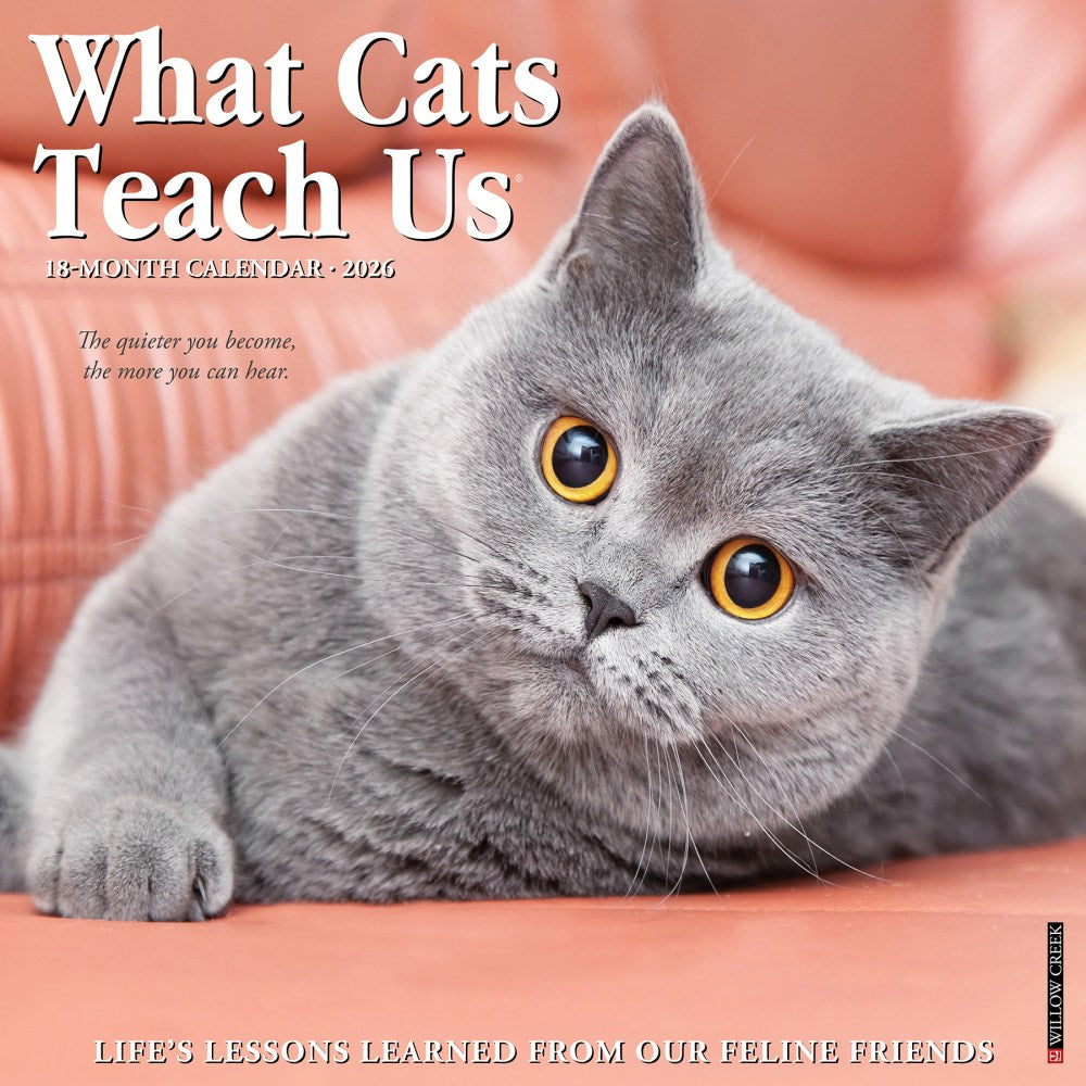 2026 Willow Creek Press Animals Monthly Wall Calendar, 12in x 12in, What Cats Teach Us, January To December, 53157