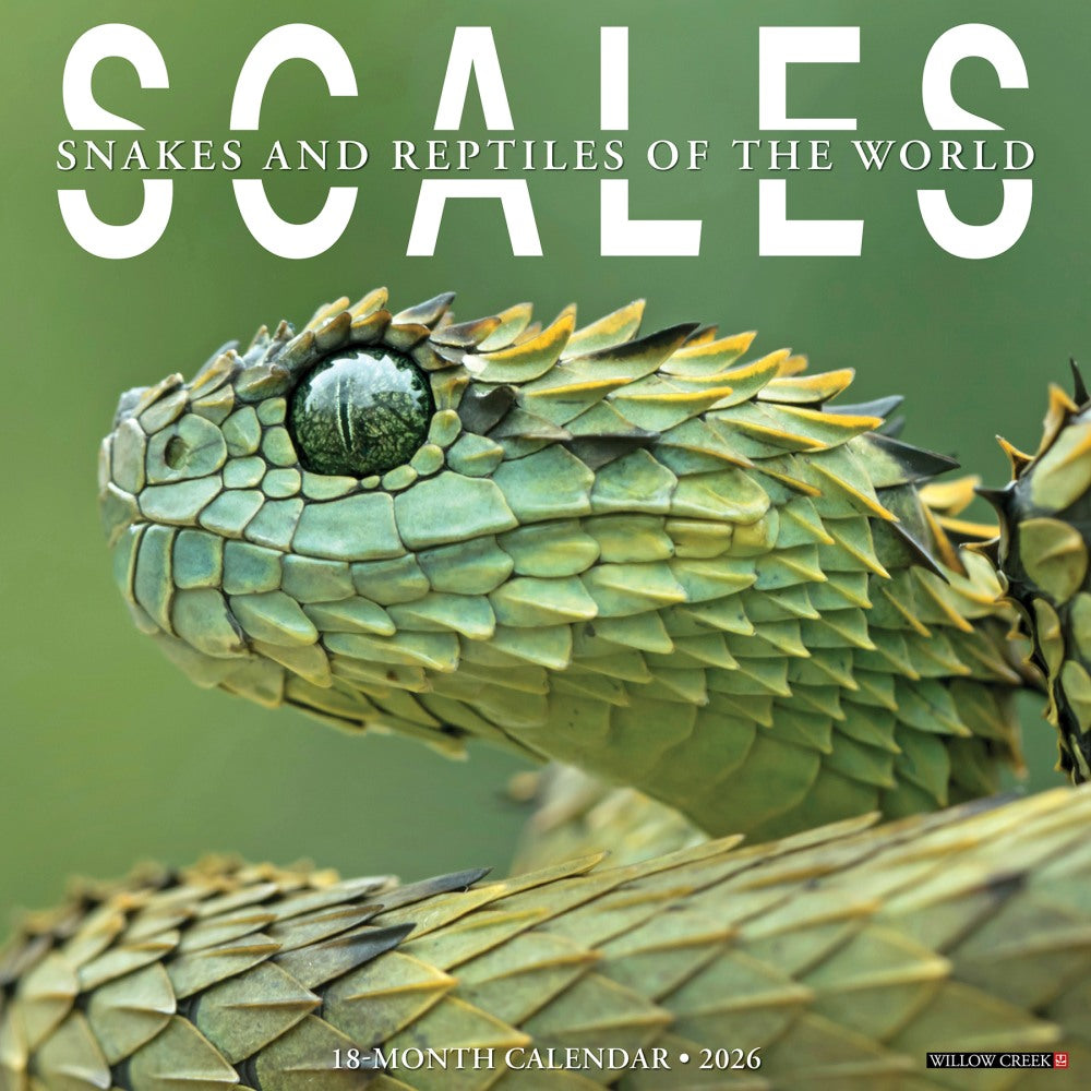 2026 Willow Creek Press Animals Monthly Wall Calendar, 12in x 12in, Scales, January To December, 56110