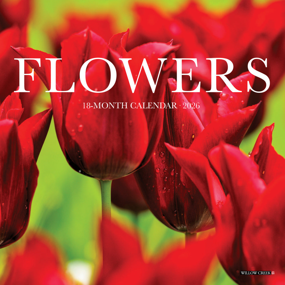 2026 Willow Creek Press Monthly Mini Wall Calendar, 7in x 7in, Flowers, January To December, 53584